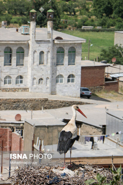 62300426_IMG_6395
