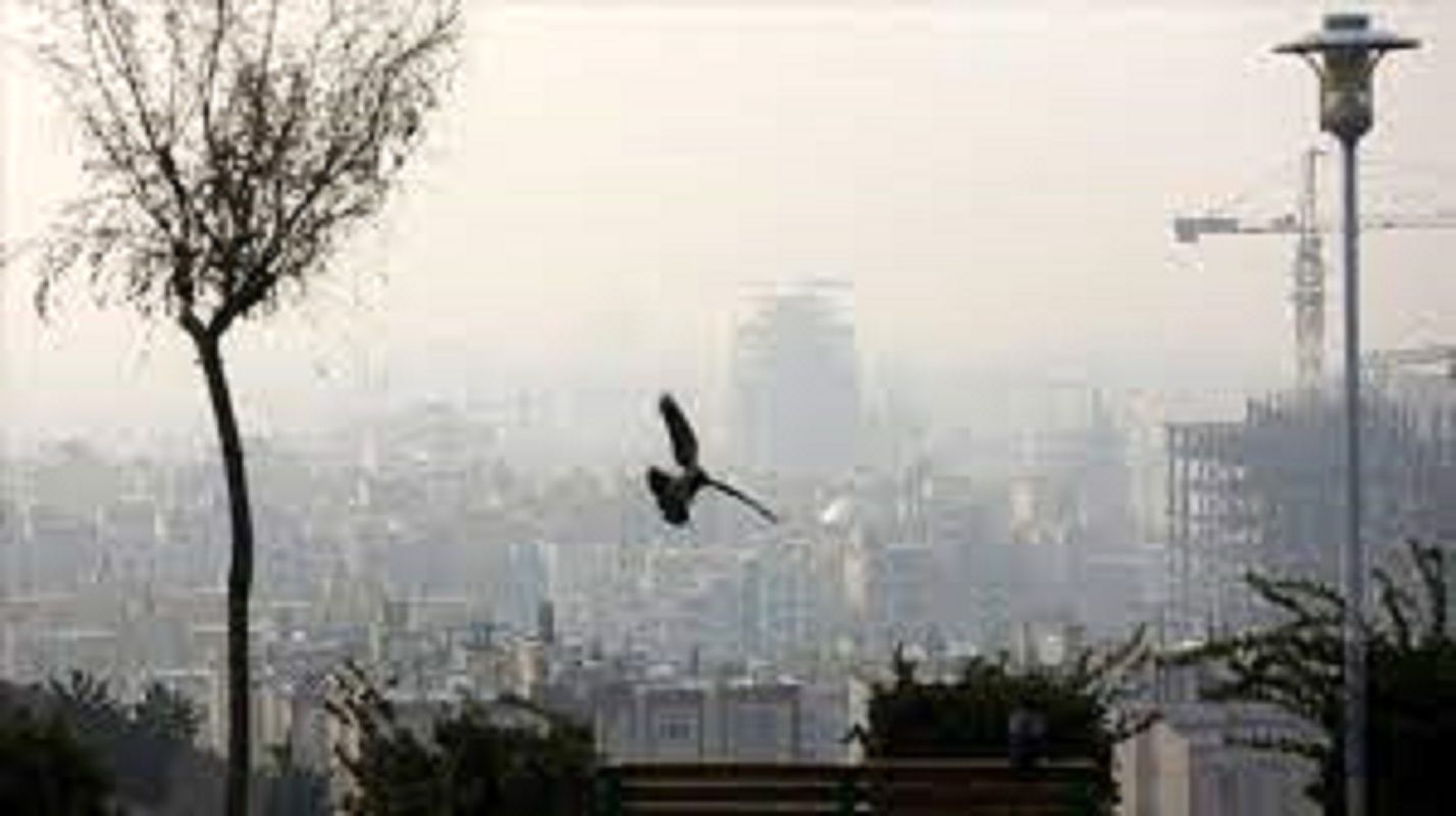 هوای تهران آلوده شد/ گروه های حساس در خانه بمانند