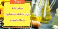 بهترین روغن دانه برای داشتن روده سالم کدام است؟