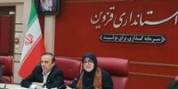 اظهارات مهم مهاجرانی درباره یارانه/ دولت با طرح ۱۴ سکه مهریه مخالف بود/ در جنگ ترکیبی تمام‌عیار قرار داریم