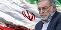 مقام‌معظم رهبری از کدام رفتار شهید فخری‌زاده اعلام نارضایتی کردند؟ توصیه ایشان چه بود؟