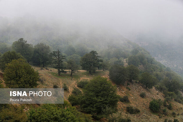 57742848_pouria-pakizeh-3