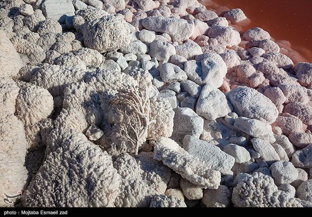 image9
