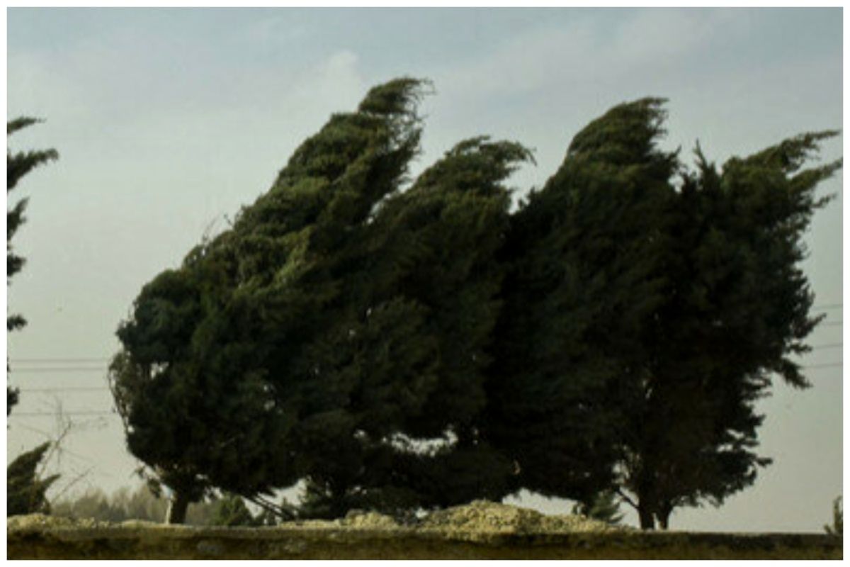 هشدار وزش باد شدید در تهران
