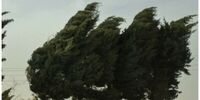 باد شدید و گرد و خاک به تهران می‌رسد