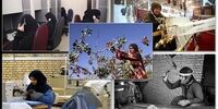 مخالفت وزارت کار با مصوبه بازنشستگی پیش از موعد زنان کارگر