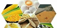 چرا عرضه و تقاضای نهاده های دامی بهم خورد؟
