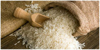 برنج ایرانی ارزان شد/ قیمت جدید در بازار 