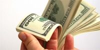 کشف 500 میلیون تومان ارز قاچاق در بانه