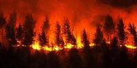 آخرین اخبار آتش سوزی گسترده کالیفرنیا