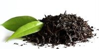 خبرهایی جدید از پرونده جنجالی واردات چای