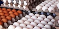 قیمت هر عدد تخم مرغ‌ چقدر شد؟