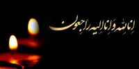 کریم باوی درگذشت