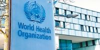  ربوده شدن پزشک سازمان جهانی بهداشت در مالی