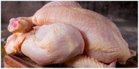 قیمت جدید مرغ در روزهای پایانی آذر