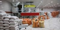 دستور مهم وزیر جهاد کشاورزی درباره خرید برنج مازاد تولیدی