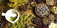 درخواست احیای بودجه طب سنتی در لایحه بودجه 1400