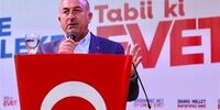 انتقاد تند و بی سابقه علنی ترکیه از عربستان و متحدانش