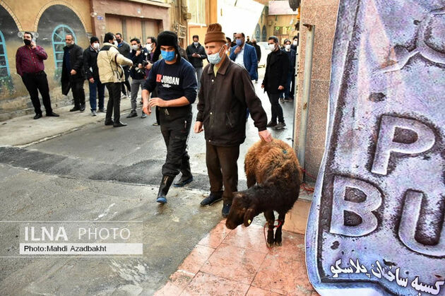 پلاسکو