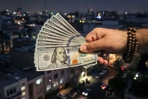 شرط موفقیت سیاست حذف ارز ترجیحی | شاکری: اصلاحات اقتصادی بدون همراهی اجتماعی و سیاست‌های جبرانی به بی‌ثباتی منجر می‌شود