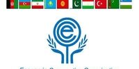 لزوم همکاری کشورهای اکو برای مقابله با حوادث فاجعه‌‌بار 