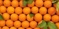 سندرم پوست پرتقال چیست؟/ علائم و راهکارها
