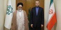 وزیر اطلاعات: دو فرانسوی بازداشت شده توریست نبودند