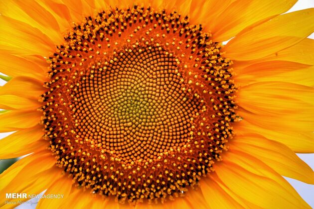 3843864_20210728125823_IMG_0290-01-4500x2998