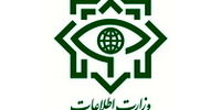 تکذیب اختلاس و ارتشاء شرکت نهاده‌های دامی از سوی وزارت اطلاعات