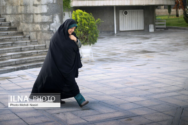 تصاویر حاشیه جلسه امروز هیئت دولت