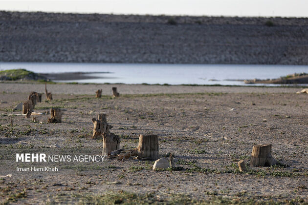 4195565_EEB6EDA8-A95E-4910-BB5F-2D934C07223B