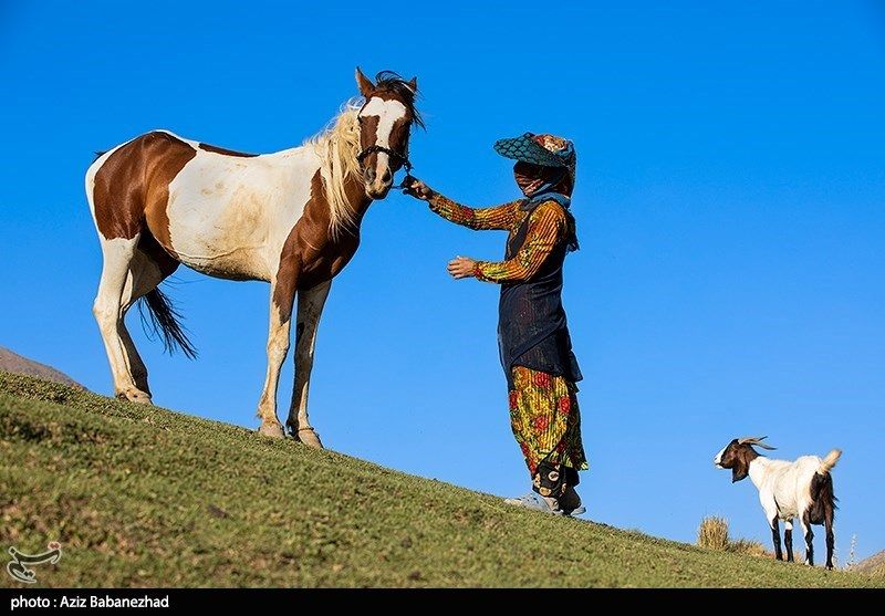 ییلاق در کوهپایه های گرین |تصاویر