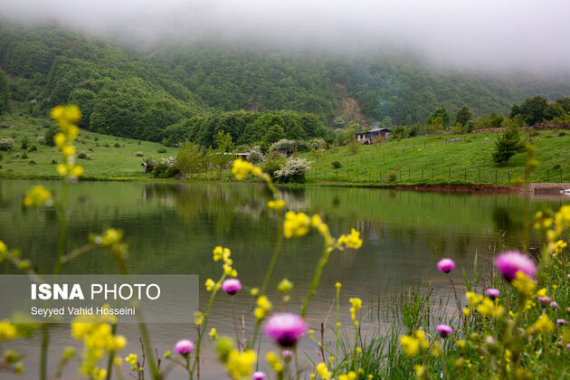 62300395_seyyed-vahid-hosseini-roudbar-21-