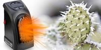 آماده سازی گلخانه کاکتوس برای زمستان