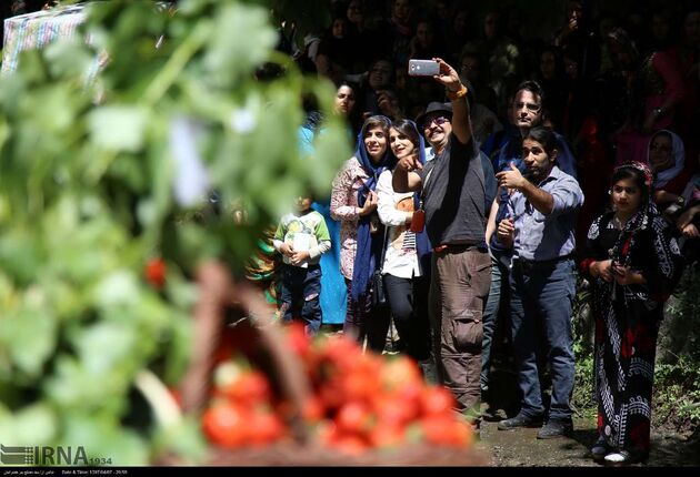 جشنواره توت فرنگی روستای شیان