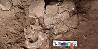 کشف عجیب یک مصرف‌کننده ۲۵ هزار ساله مواد روان‌گردان!