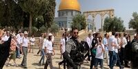 ده‌ها شهرک‌نشین صهیونیست به مسجد الاقصی یورش بردند