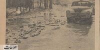 فهرست درآمد‌های عجیب شهرداری +عکس