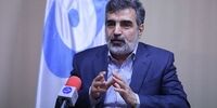 توضیحات سخنگوی سازمان انرژی اتمی درباره خبر ترور دانشمند هسته ای؛ تکذیب می‌کنیم