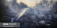 تصاویر| آتش سوزی در جنگل‌های کرخه و سایت گوزن زرد ایرانی
