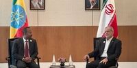 دیدار پزشکیان با نخست‌وزیر اتیوپی و مالزی در حاشیه اجلاس بریکس