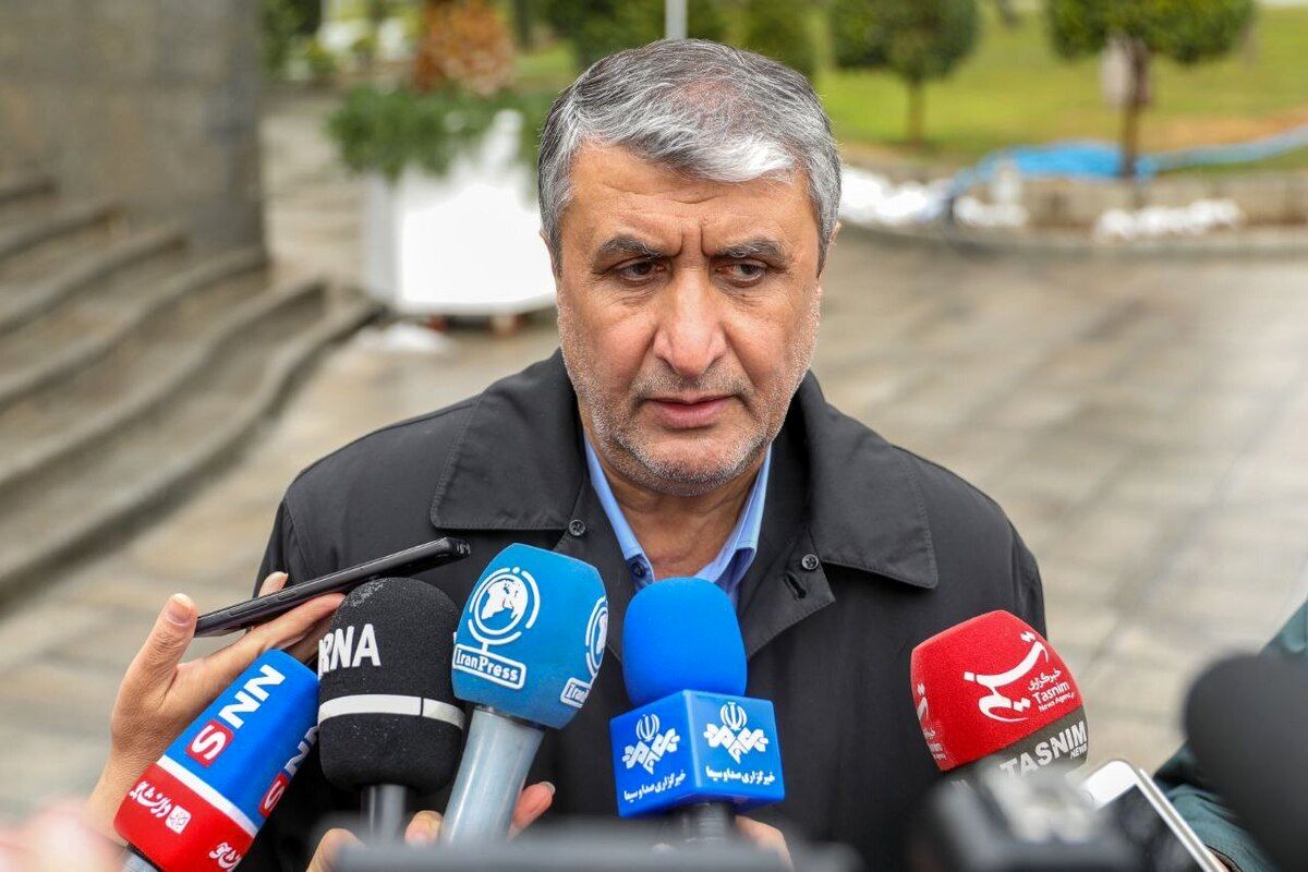 واکنش رئیس سازمان انرژی اتمی به احتمال ارائه گزارش جدید علیه ایران به شورای امنیت