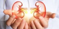 5 نوشیدنی که سنگ کلیه را به راحتی پودر می کند