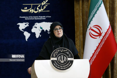 واکنش سخنگوی دولت به اظهارات منتسب به عارف درباره تعیین قیمت ۸۰ هزار تومانی بنزین/ صحت ندارد/ هنوز تصمیم نهایی اتخاذ نشده است