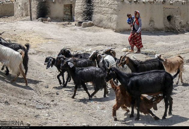 روستاهای محروم خراسان شمالی، عکس:وحید خادمی