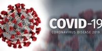 سازمان جهانی بهداشت شیوع کروناویروس را "همه‌گیری جهانی" اعلام کرد

