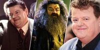 بازیگر مجموعه «هری پاتر» درگذشت
