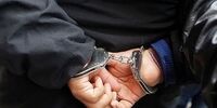 برگشت کلاهبردار ۵ میلیون دلاری به ایران 