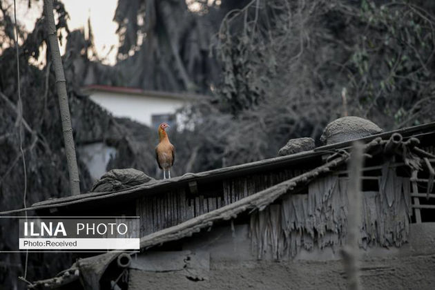 تصاویر فوران آتشفشان در فیلیپین