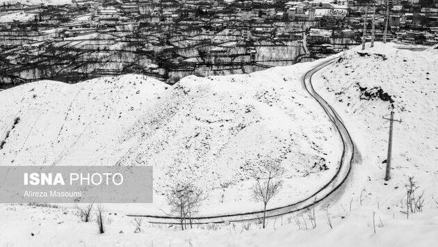 62187547_Alireza-19-of-49-